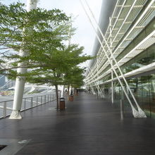 屋外テラスも広々で、下方にマリーナ湾が見えます