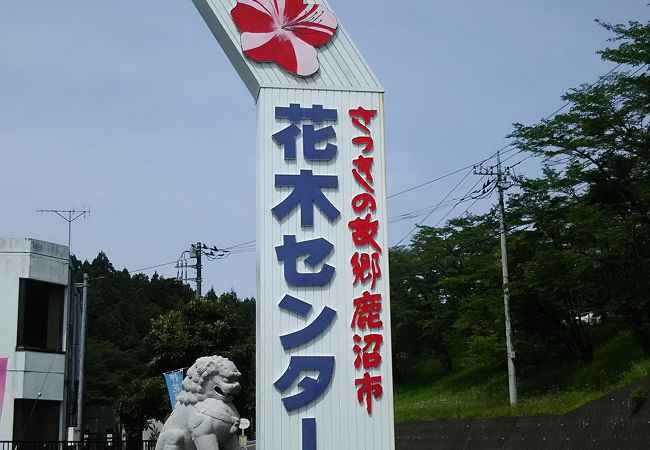 鹿沼のおすすめショッピング お買い物スポット クチコミ人気ランキング フォートラベル 栃木県