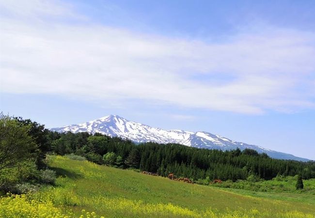 大谷地池