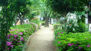 ちっちゃな緑道に癒される。