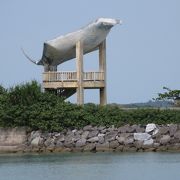 マンタが目印