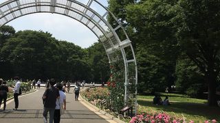 私たちは歩きました。