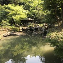 千鳥橋からの眺め