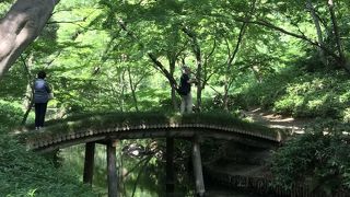 六義園の中にある橋