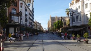 セビリア大聖堂の横を走る旧市街の大通り、コンスティトゥシオン通り