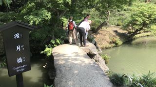 六義園の中にある川を渡る橋の