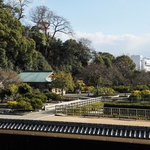 整備された庭園
