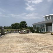 年中楽しめる国営公園公園