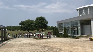 年中楽しめる国営公園公園