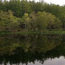 緑が池の風景