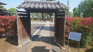 下谷生まれの幸田露伴