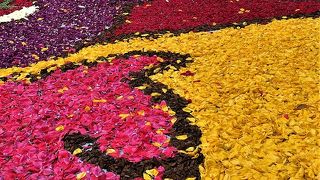 神戸のお花で飾った道　インフィオラータ