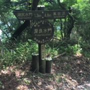 芦ノ湖西側遊歩道の途中