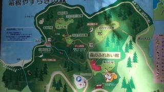 よく整備されています。