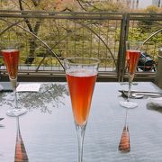 八芳園にある自然に囲まれたカフェ