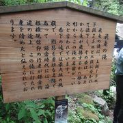 鷹巣山登山途中に飛龍の滝に寄りました