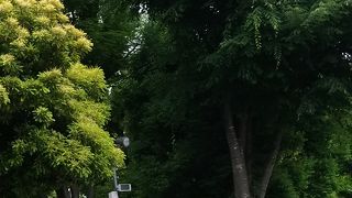 そろそろ完成！