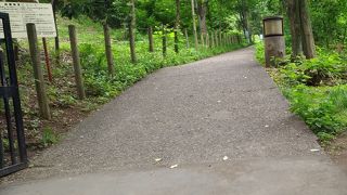 春は気持ちいい！