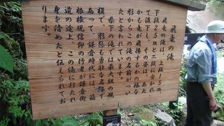 鷹巣山登山途中に飛龍の滝に寄りました