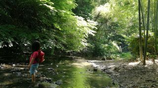 森林浴や水遊びなどにおススメの場所