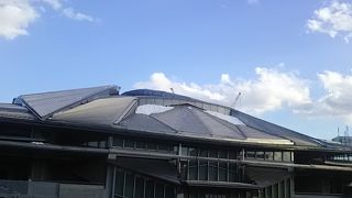 広い敷地で楽しめます