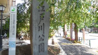 神田川沿いの遊歩道