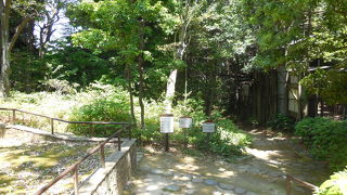 日本庭園があります