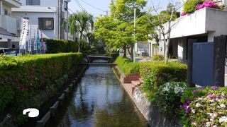 町中のオアシスが至るところに