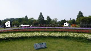 バラと英国庭園と水生植物を鑑賞