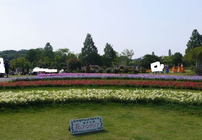 清水公園花ファンタジア クチコミ アクセス 営業時間 野田 関宿 フォートラベル