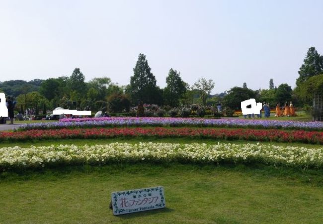 バラと英国庭園と水生植物を鑑賞