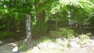 和の雰囲気を満喫できた