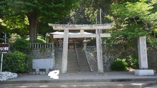 狩野川を隔てる守山に聳える神社