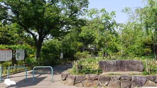 地元利用には自然豊かな公園