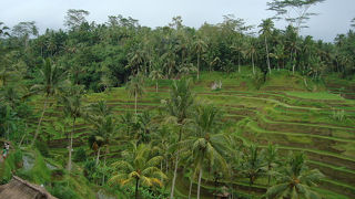 オプショナルツアーで訪れました。