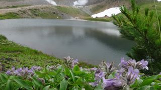 旭岳中腹へ簡単アクセス