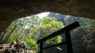 めずらしい鳥居の景観がみられます。