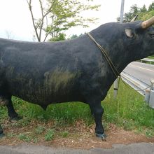 牛のオブジェがお出迎え