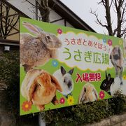 月うさぎの里 クチコミ アクセス 営業時間 加賀 フォートラベル