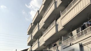 ピーチェリーノ