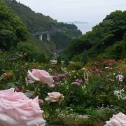 春から５月にかけて百花繚乱