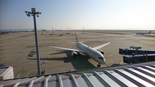 国際色豊かな機体が見れます!!