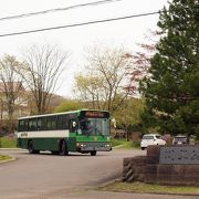 ダムと隣接する桜のきれいな公園