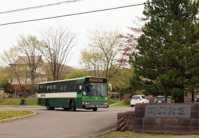 ダムと隣接する桜のきれいな公園