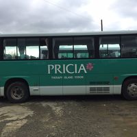 迎えに来てくれるよ