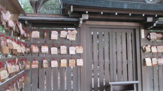 名前の通りです