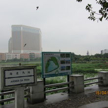 ミュージアム前の大湿地帯と巨大ホテル群