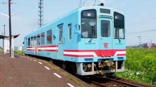 ユルさがいいねっ♪