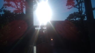 本殿よりこちらメインへ行きます。