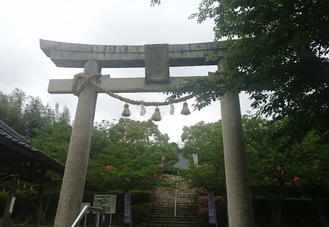 大村神社 クチコミ アクセス 営業時間 山口市 フォートラベル